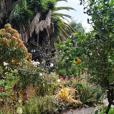 Вилла La Casita Del Jardinero Лос-Льянос-де-Аридане Экстерьер фото